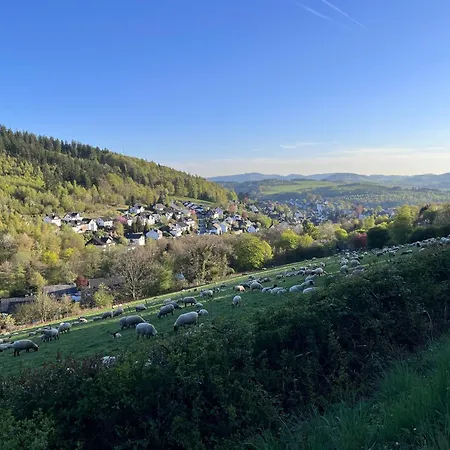 Terrasse Mit Grill Nahe Winterberg Bis 6 Gaeste Daire Schmallenberg